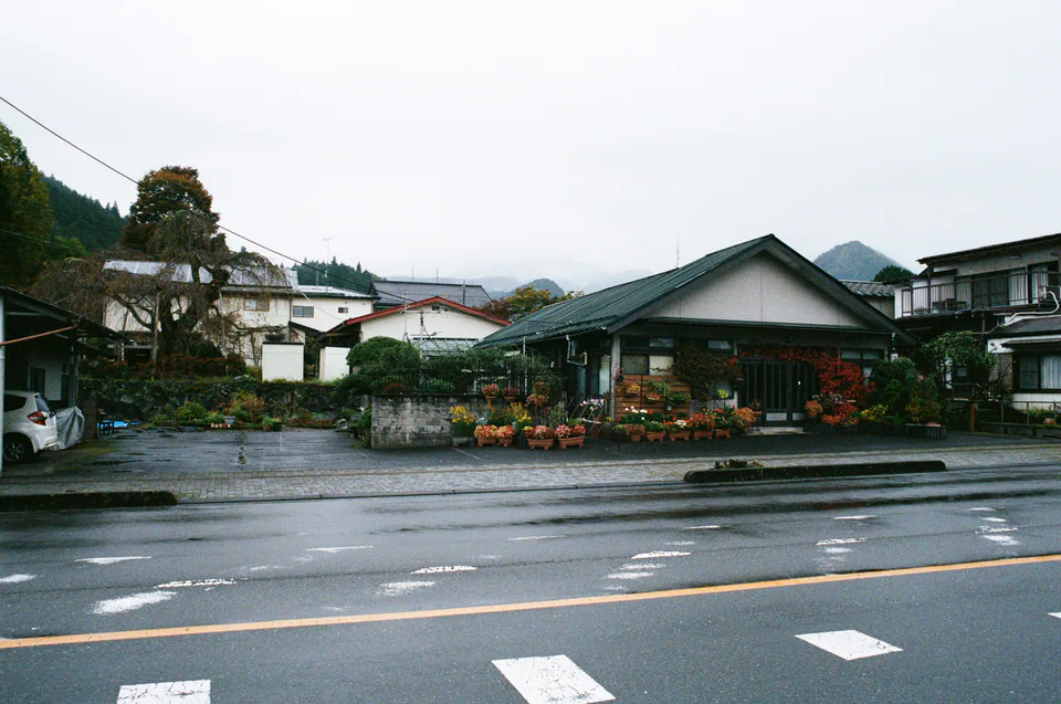 Nikko, photo 2 of 14