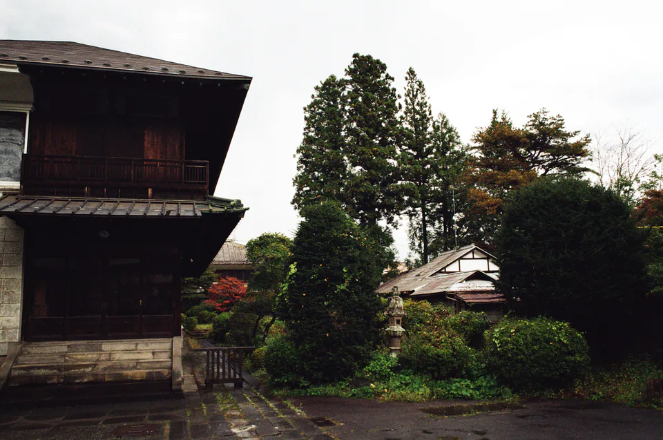 Nikko, photo 4 of 14