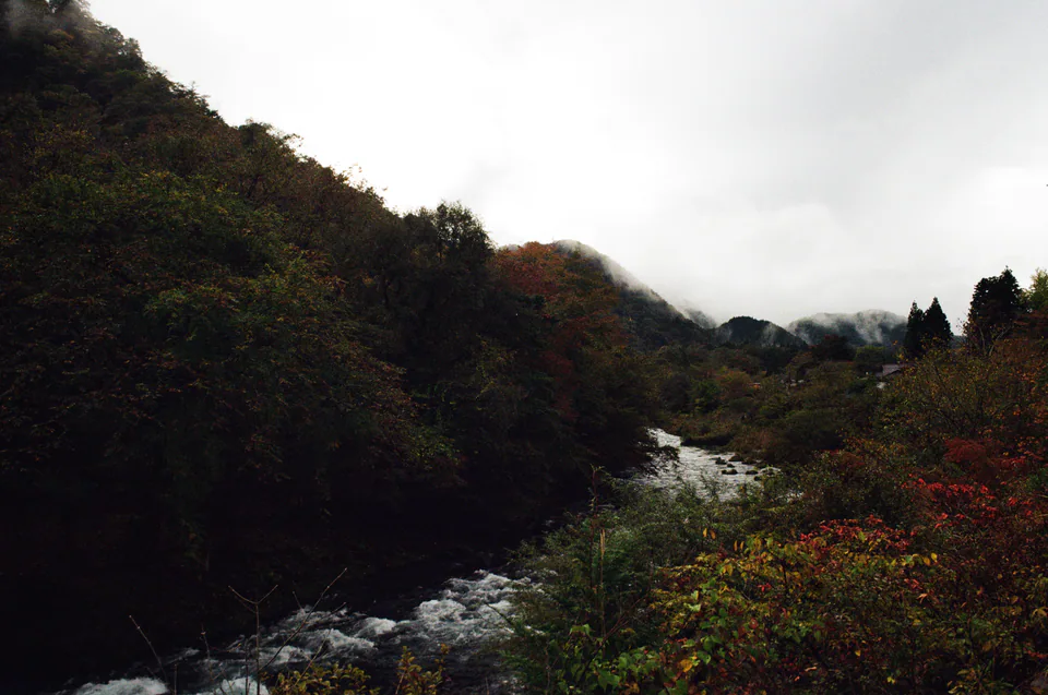 Nikko, photo 5 of 14