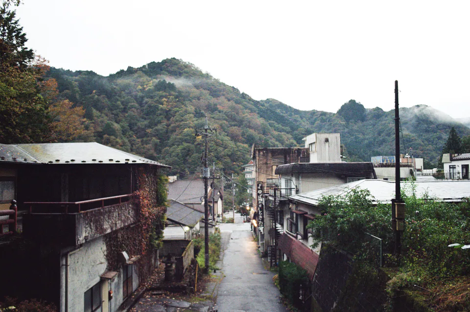 Nikko, photo 7 of 14