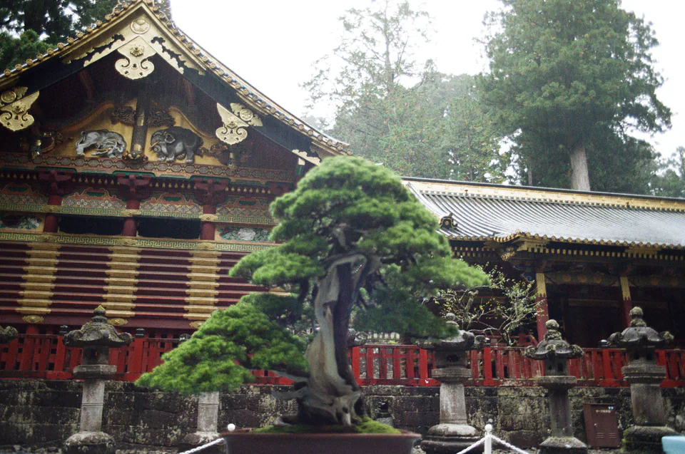 Nikko, photo 12 of 14