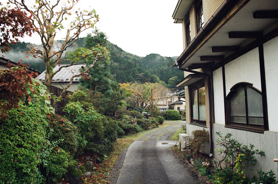 Nikko, photo 13 of 14