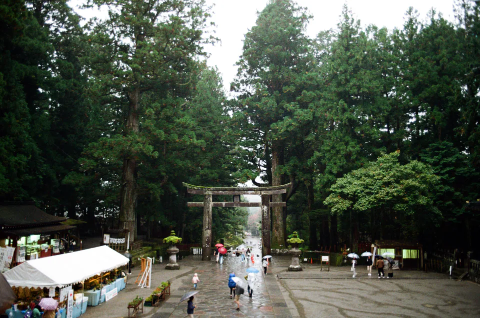 Nikko, photo 14 of 14